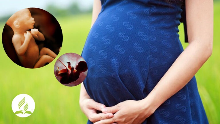 abortion